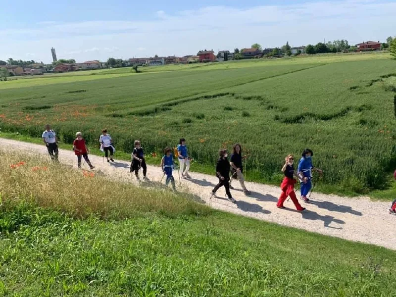 Lezione di nordic walking e silvoterapia