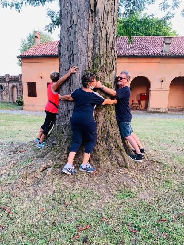 Lezione di nordic walking e silvoterapia