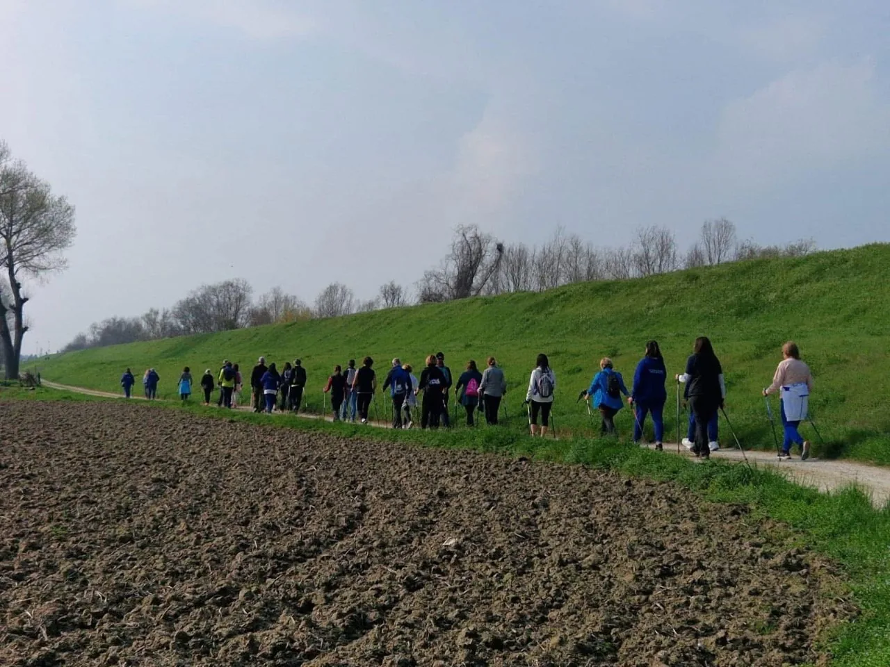 Lezione di nordic walking e silvoterapia