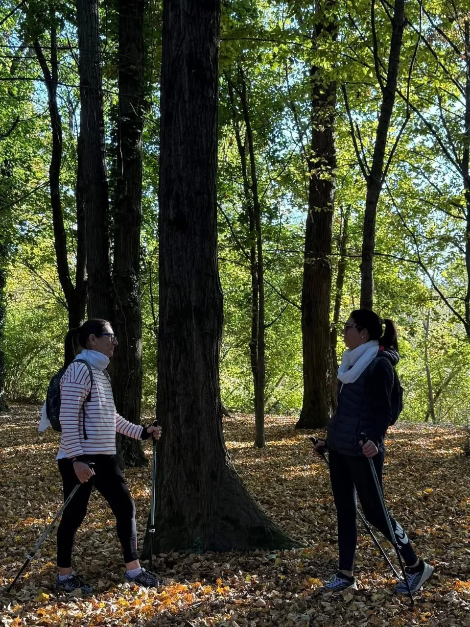 percorsi di nordic walking Madonna delle Grazie e Corte
