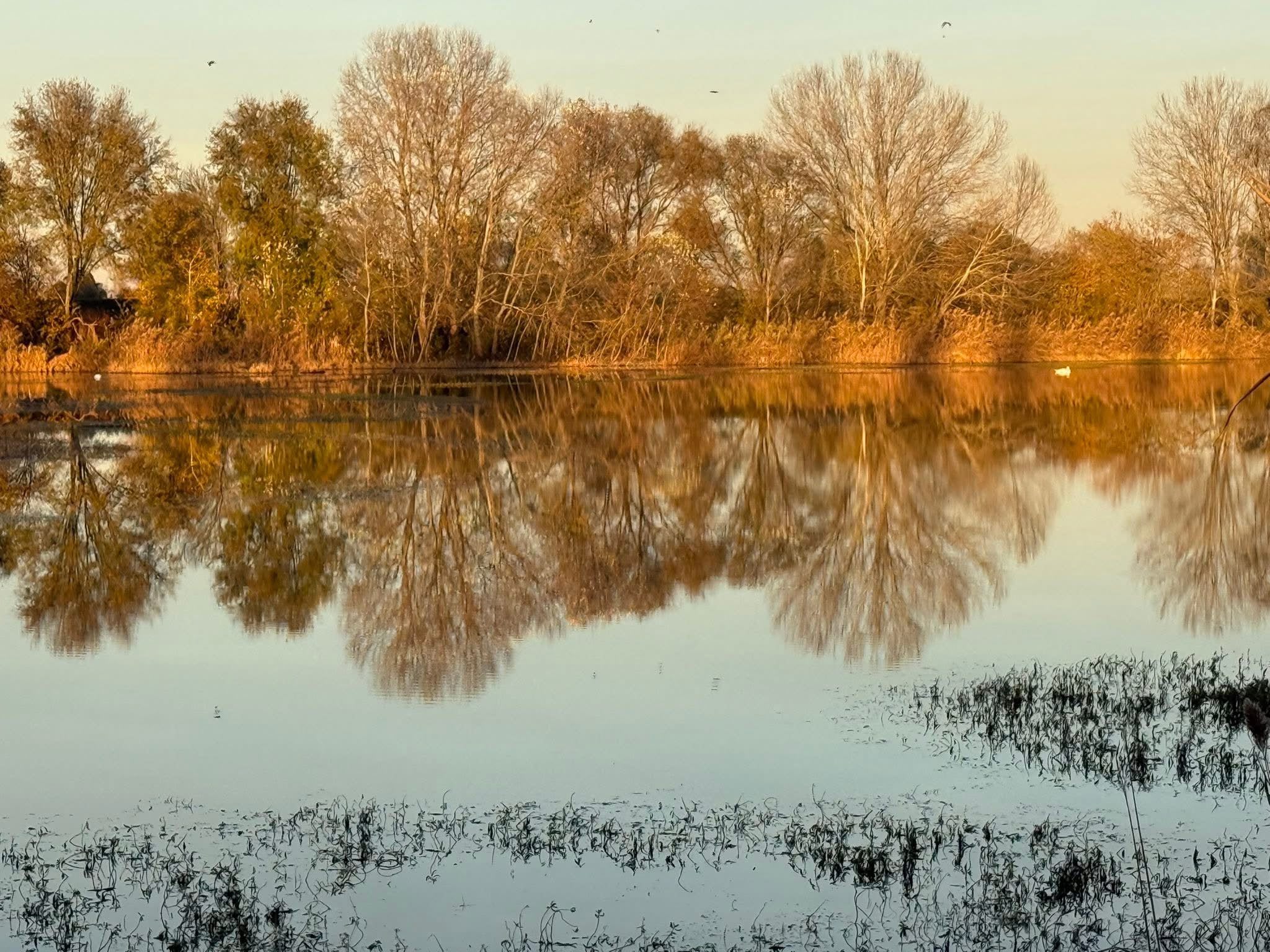 L’Oasi di Ca’ di Mezzo