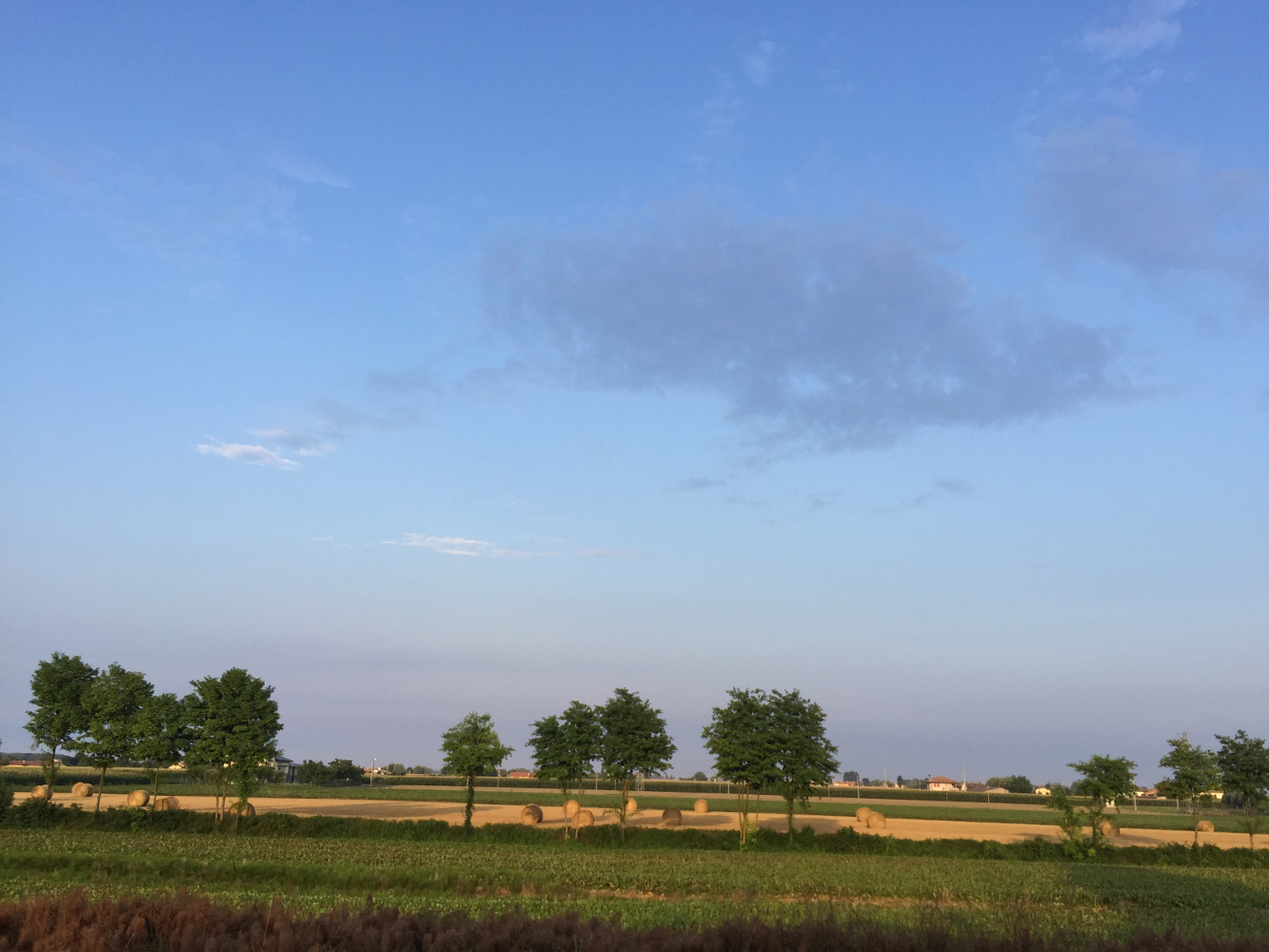 Argini del Bacchiglione